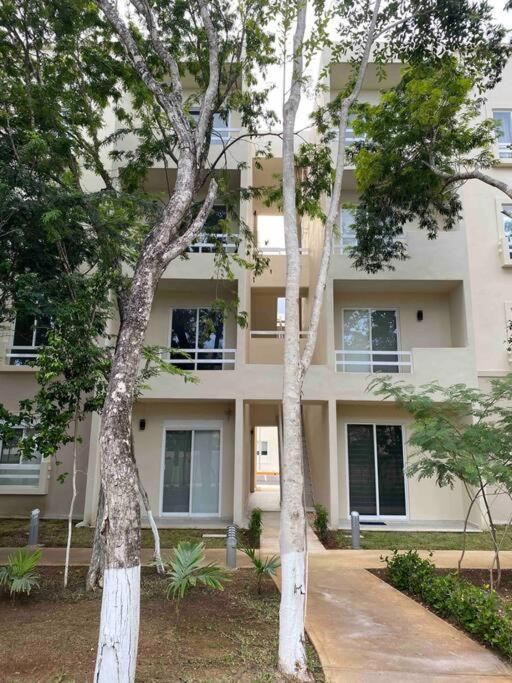 Apartamento Departamento La Selva J.m.